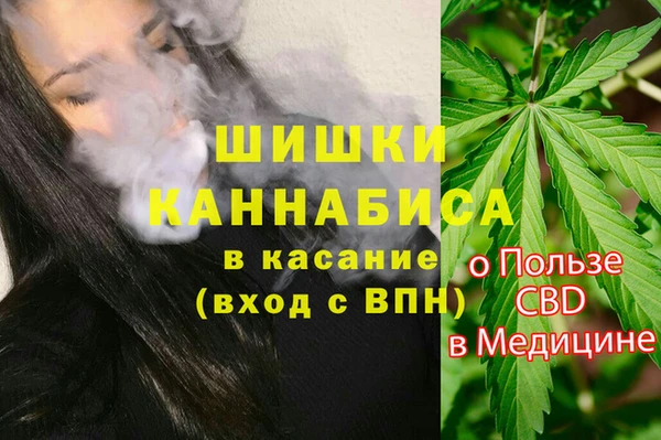 мет Арсеньев