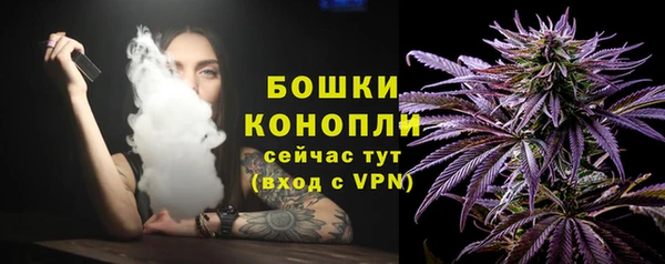 ECSTASY Каменногорск