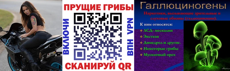 Галлюциногенные грибы GOLDEN TEACHER  наркошоп  Армянск 
